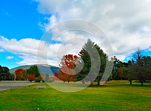 Colourful autumn park in Turangi town with magnificent mountains of Tongariro