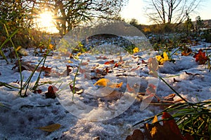 Colourful autumn in the snow