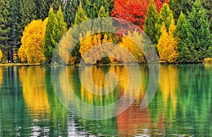 Colourful autumn trees reflecting in the calm lake waters