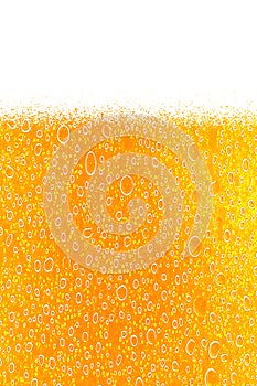 Colourful beer background