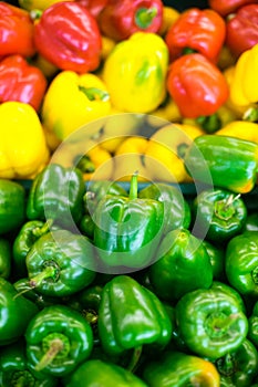 Colourful bell peppers