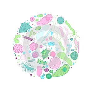 Colourful Biacteria Background-03