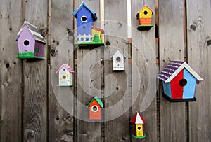 Colourful birdhouses mounted on wooden fence