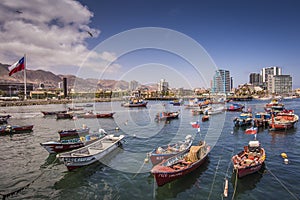 Colourful botes anchored at AntofagastaÃÂ´s Harbour and the chilean flag in the left. Antofagasta City at the background.