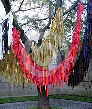 Colourful bright ribbons on a tree