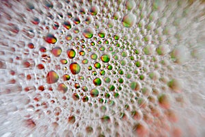 Colourful Bubbles