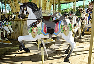 Colourful carousel horses