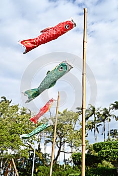 Carp streamer, koinobori