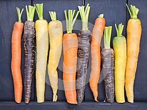 Colourful carrot varieties