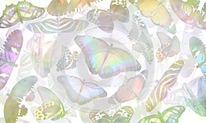 Colourful Chaotic random Butterflies Background Template