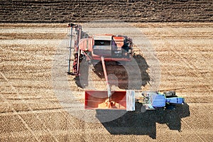 Colourful combine harvester working a wheat field with a tractor and trailer moving alongside