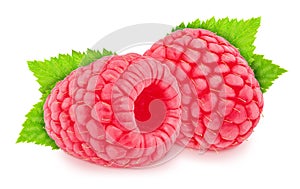 Colourful composition with fresh raspberry with leaves isolated on a white background with clipping path.