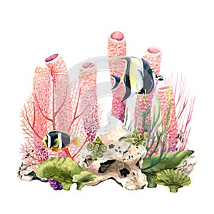 Colourful coral reef underwater scene. Watercolor illustration isolated on white
