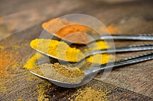 Colourful Curry Spices in Silver Spoons on Dark Wood