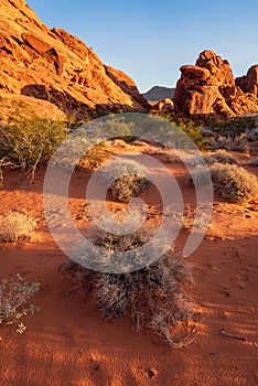 Colourful desertic landscape in Valley of Fire State Park, Nevada, USA.