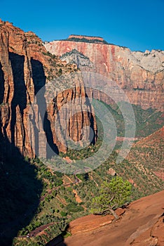 Early morning view along the Zion Canyon Overlook Trail, Zion National Park, Utah, USA.