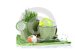 Colourful easter decorated eggs isolated on white background