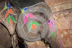 Colourful elephant in Jaipur, Rajasthan, India