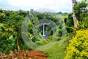 Colourful exotic garden with native vegetation and plants of Oceania, Samoa, Upolu Island