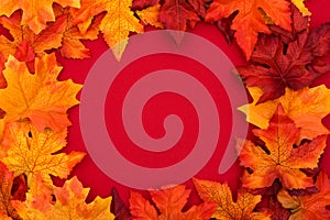 Colourful Fall Background Frame