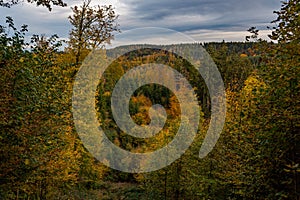 Colourful fall hike to the KreuzleshÃ¶he in AllgÃ¤u near Leutkirch and Isny photo