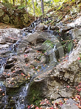 Colourful fallen autumn leaves on the rocks and in water stream of forest waterfall