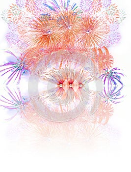 colourful firework display set for celebration happy new year and merry christmas and fireworks reflec on white background