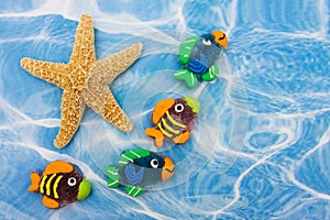 Colourful Fish Border