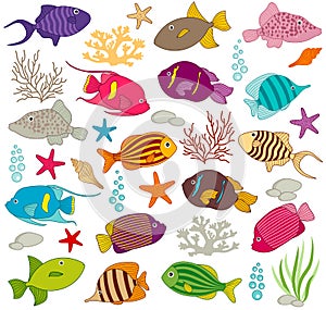 Colourful Fish Set