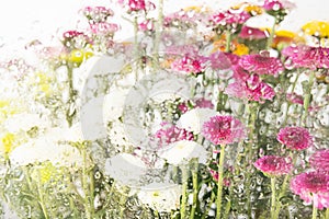Colourful flower arrangement. Blossoms springtime background