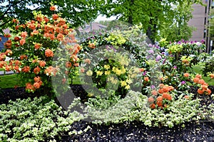 Colourful flower gardens at Rochford Square in Charlottetown