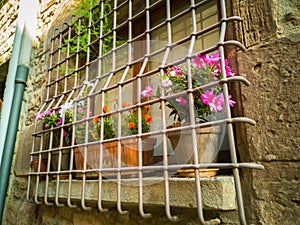 Colourful flower window iron grill art