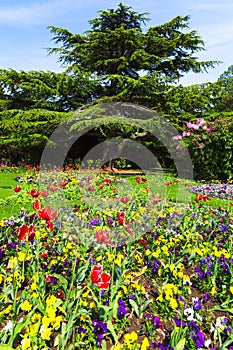 Colourful Flowerbeds