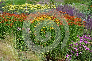 Colourful flowerbeds in late Spring, including beds of coneflowers