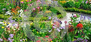 Colourful Flowerbeds and Winding Pathway in an Garden. Wide photo