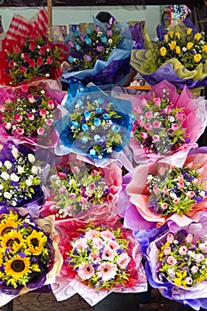 Colourful Flowers