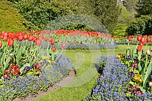 Colourful Flowers and Lawn Pathway in a Formal Garden