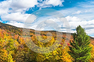 Colourful forested mountain on a sunny autumn day