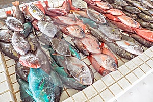 Colourful fresh fish for sale at Apia Seafood Market in Samoa, S photo