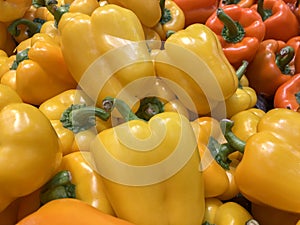 Colourful Fresh Yellow and Orange Peppers For Sale in Market.