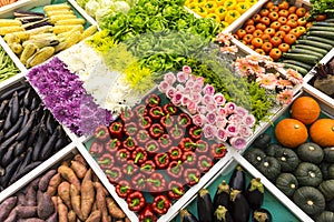 Colourful fruits and vegetable display at the agruculture exhibition