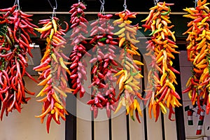 Colourful Hanging Chilli Peppers