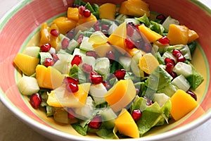 Vistoso saludable ensalada 