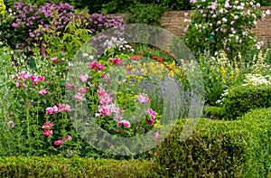 Colourful herbaceous border at Eastcote House Gardens walled garden, London UK.