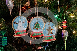 Homemade snow globe sugar cookies hanging on a Christmas tree.