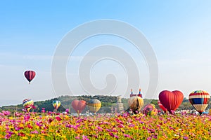 Colourful hot air balloons flying at  Singh Park in Chiang Rai