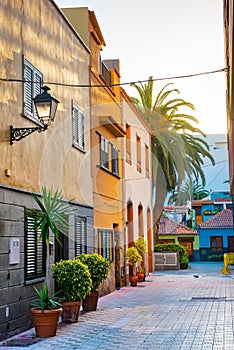 Colourful houses, palm on street Puerto de la Cruz town Tenerife Canary Islands