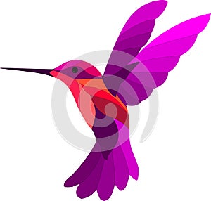 colourful of humming bird is flying