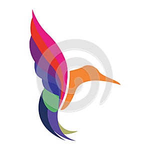 Colourful hummingbird vector