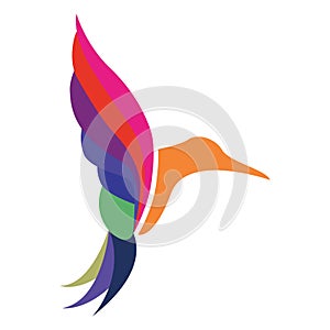 Colourful hummingbird vector